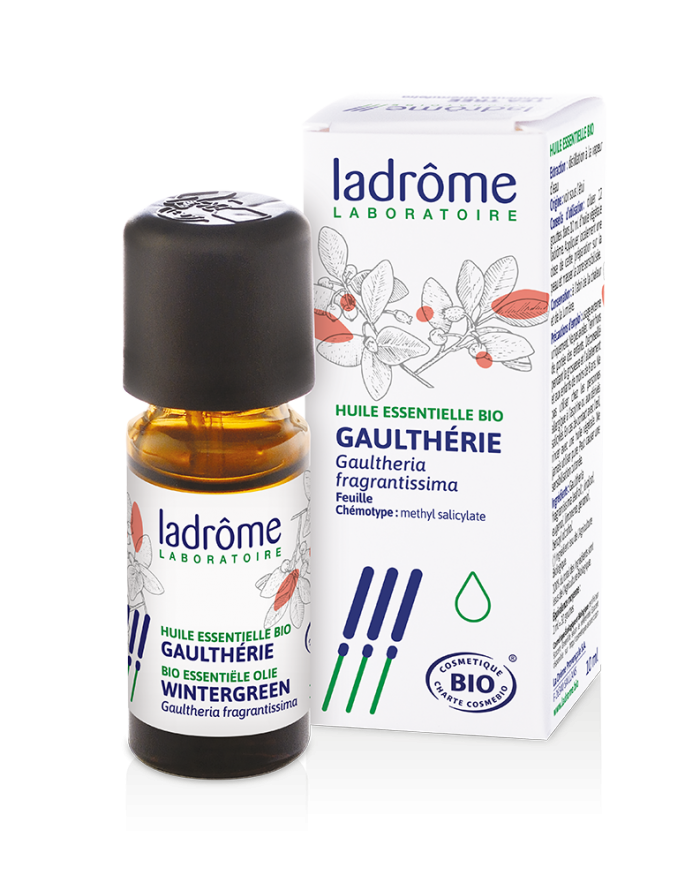 Gaultheria fragrantissima oil : 30ml